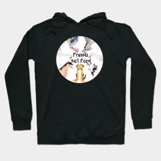 Vegan slogan Friends, Not Food Hoodie